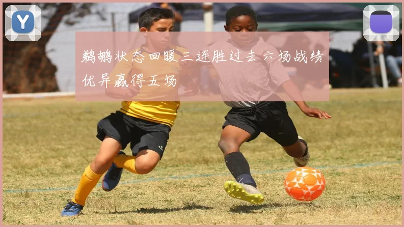 鹈鹕状态回暖三连胜过去六场战绩优异赢得五场